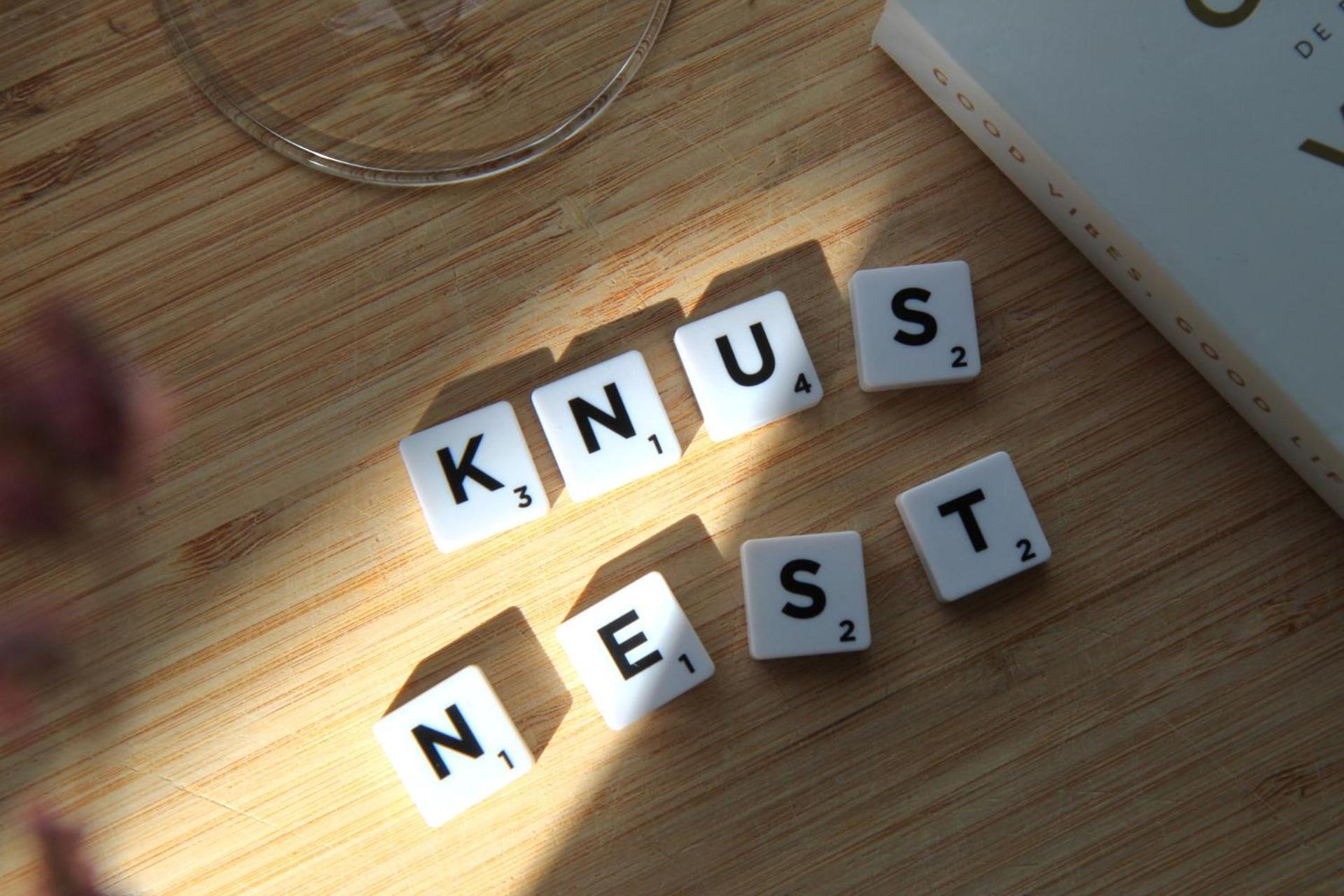 Buitenverblijf Nest *