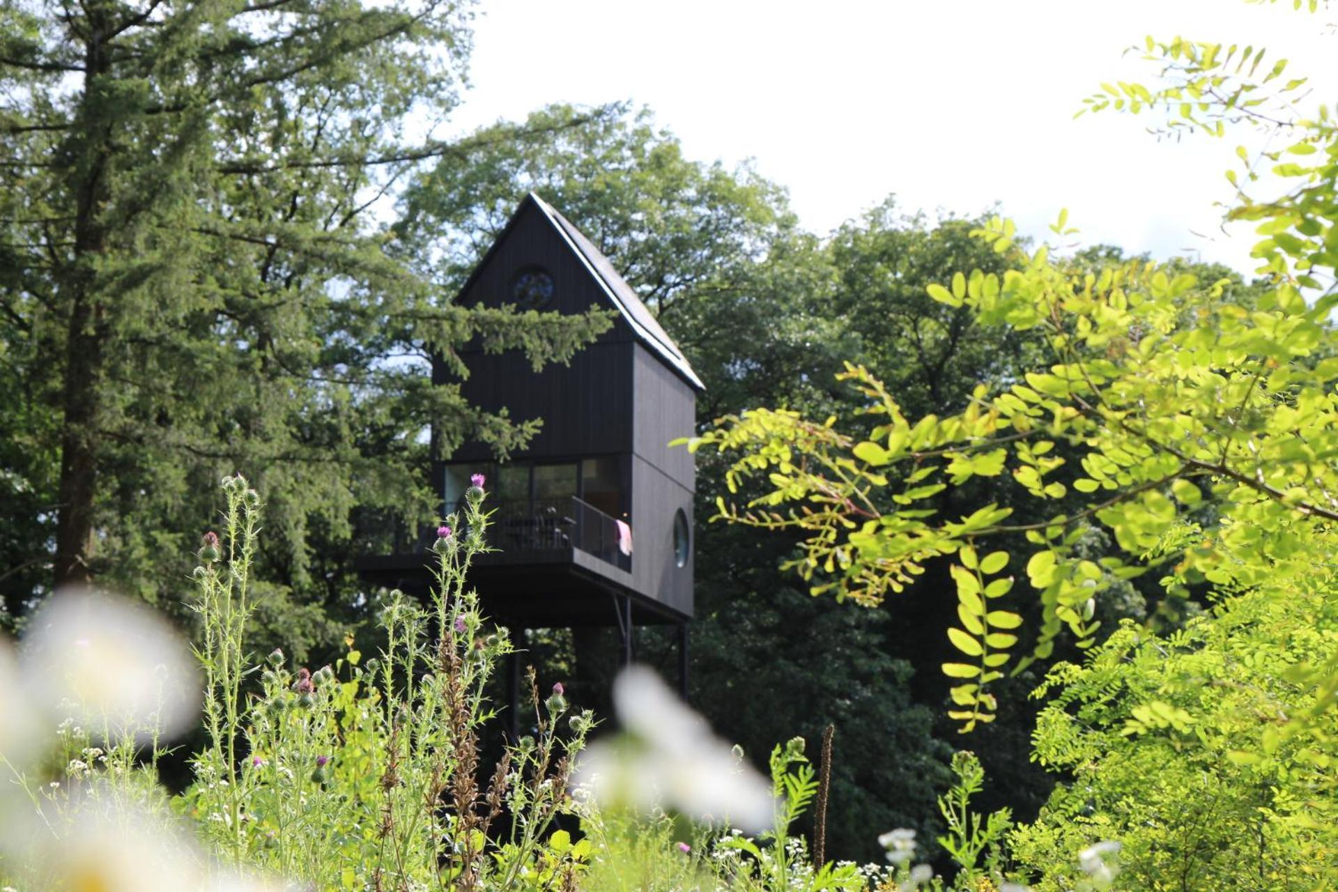 Buitenverblijf Nest * Arnhem