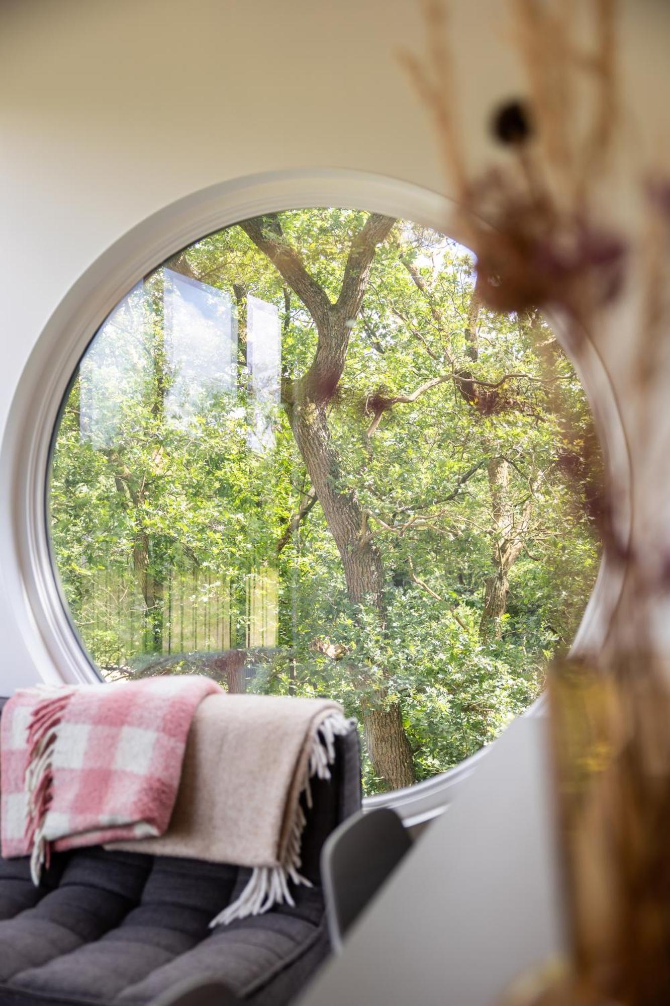 Buitenverblijf Nest Holiday home *