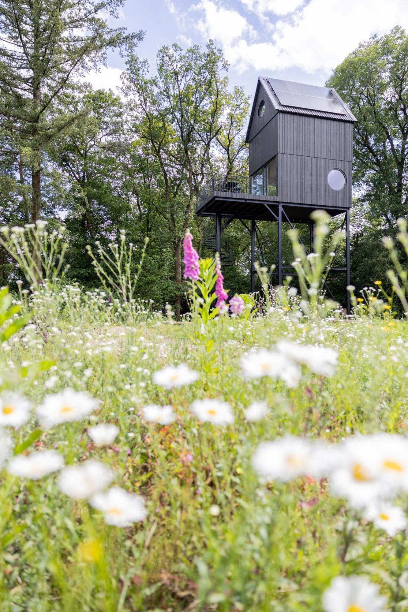 Buitenverblijf Nest Vakantiehuis Arnhem